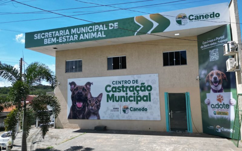 Senador Canedo bate recorde e já castrou mais animais em 2026 do que durante todo o ano passado