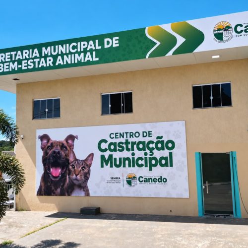 Senador Canedo chega a 1.900 animais castrados gratuitamente em 2026