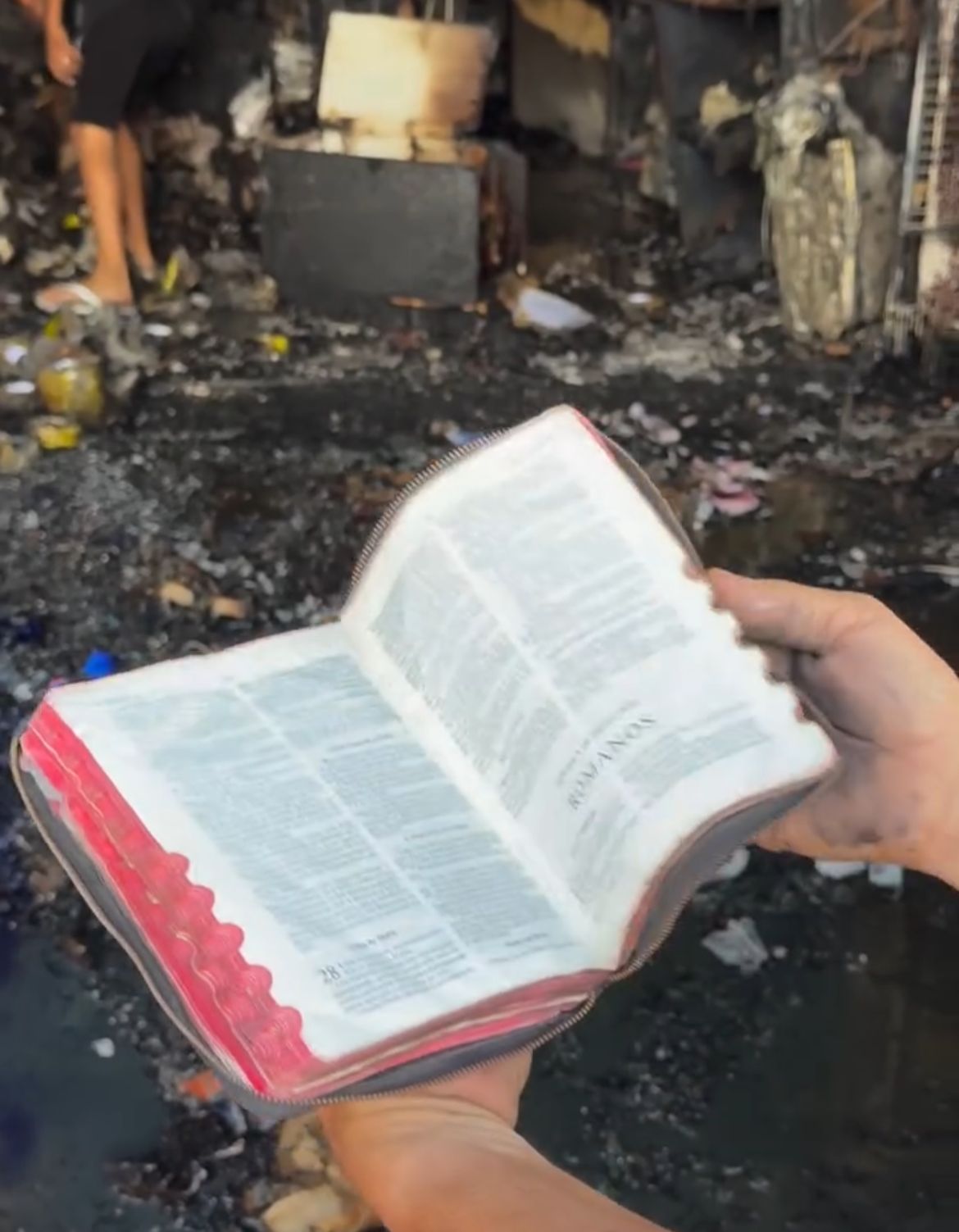 Bíblia é encontrada intacta após incêndio destruir loja de embalagens em Goiânia