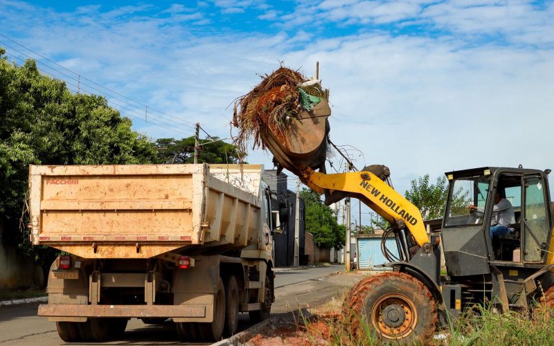 Prefeitura de Senador Canedo recolhe cerca de 16 toneladas de galhadas por dia